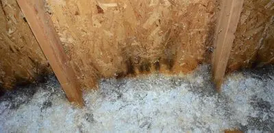 Attic mold from moisture