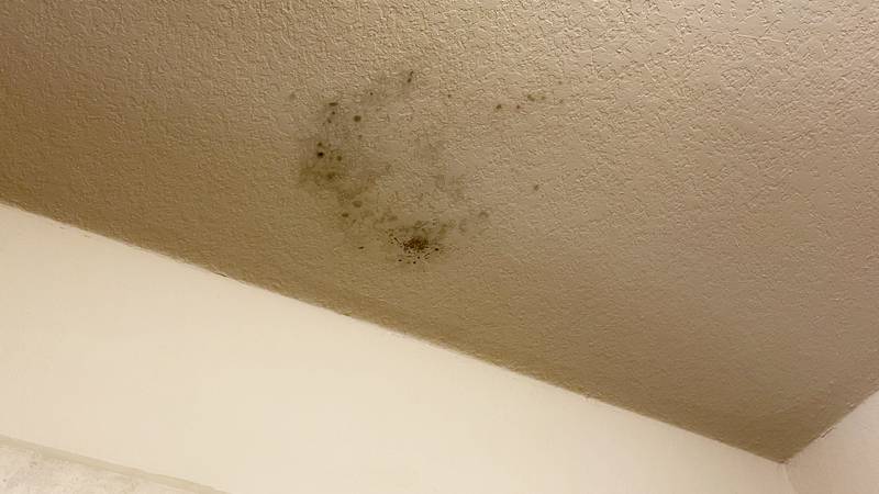 Mold On My Living Room Ceiling