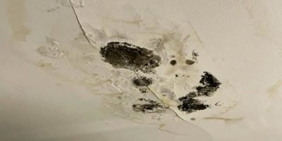 Ceiling Mold Growth | Learn the Cause and How to Prevent it - Environix