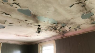 Ceiling mold or smoke?