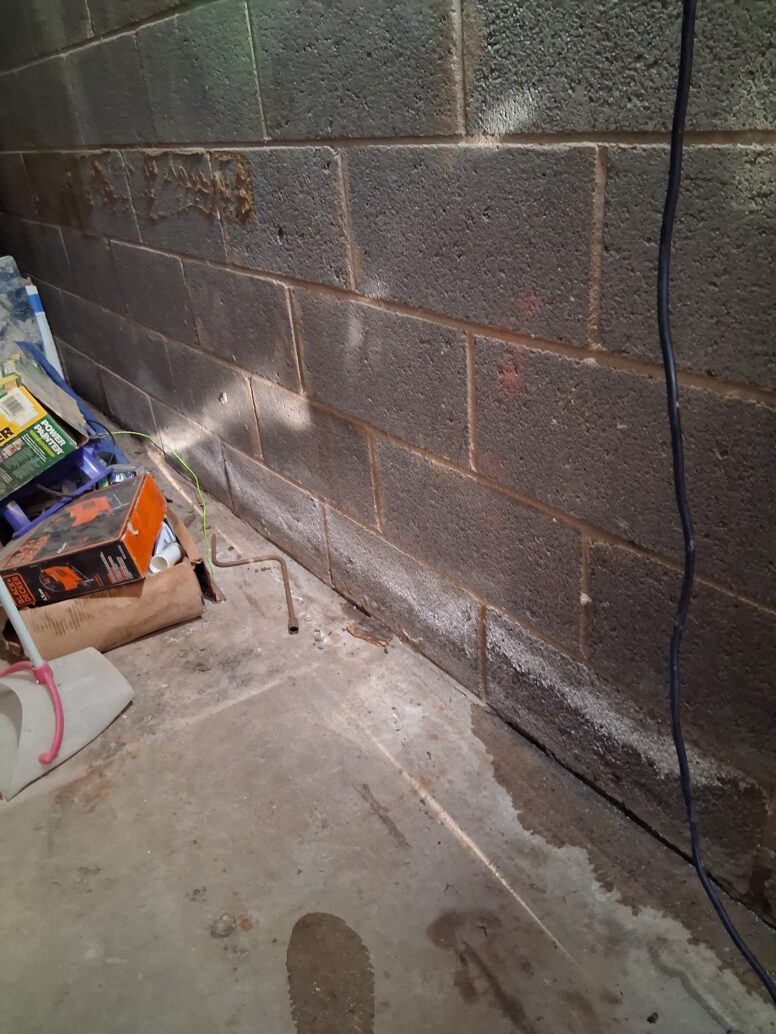 Efflorescence or mold on brick wall.
