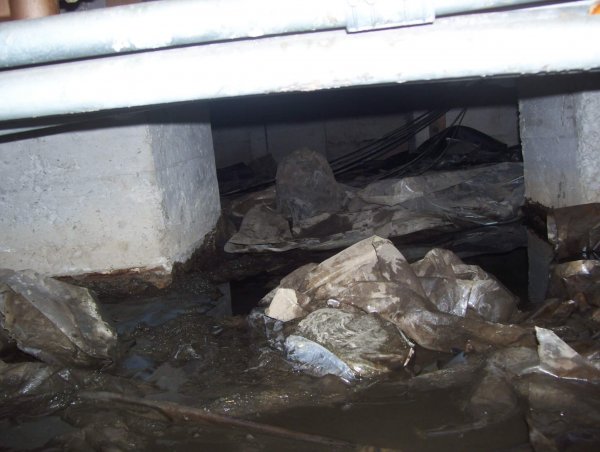 How a Damaged Vapor Barrier Causes Crawlspace Mold - Environix