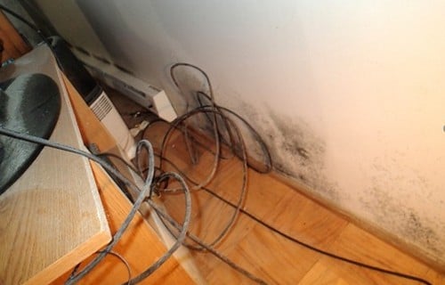 Humidity & Mold Growth | Environix