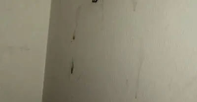 Mold or other substance on wall near ceiling.