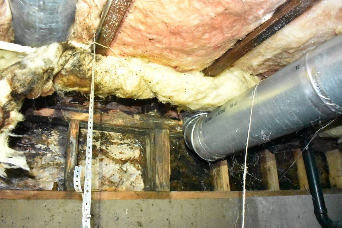 Mold in crawlspace in Kirkland