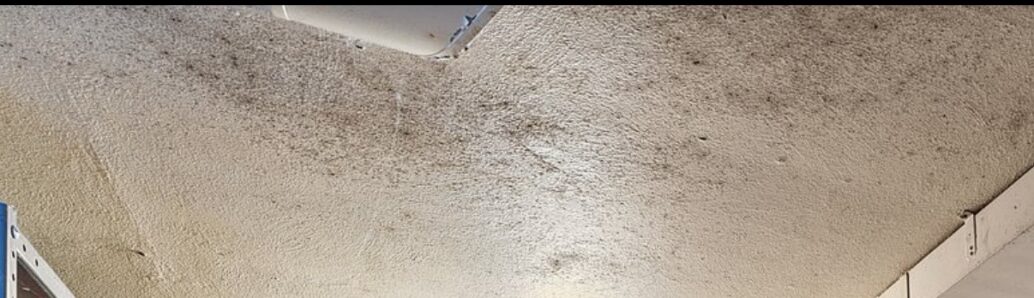 Mold on basement ceiling