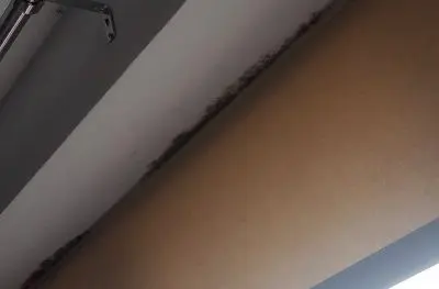 Mold on the ceiling near wall.