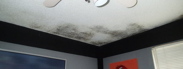Mold on ceiling near wall