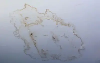 Mold on ceiling due to a roof leak.