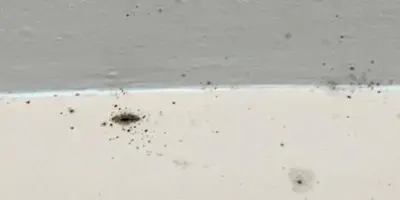 Mold on concrete block ceiling.