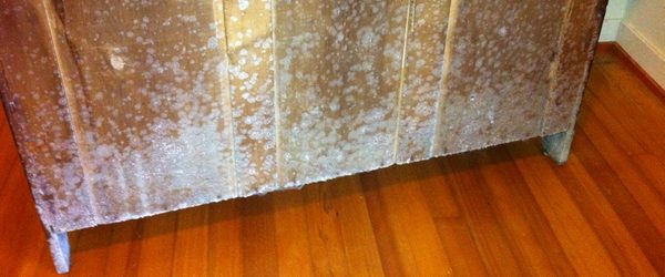 Mold on dresser from humidity