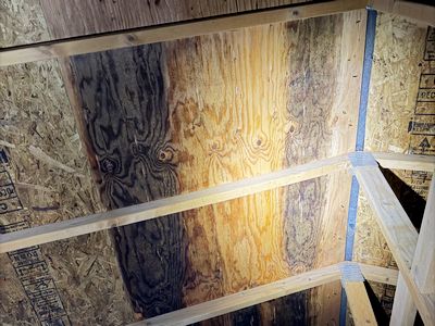 Mold on plywood not OSB