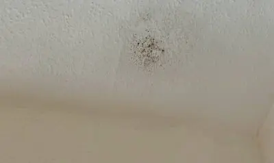 Small area of mold growth on bedroom ceiling.