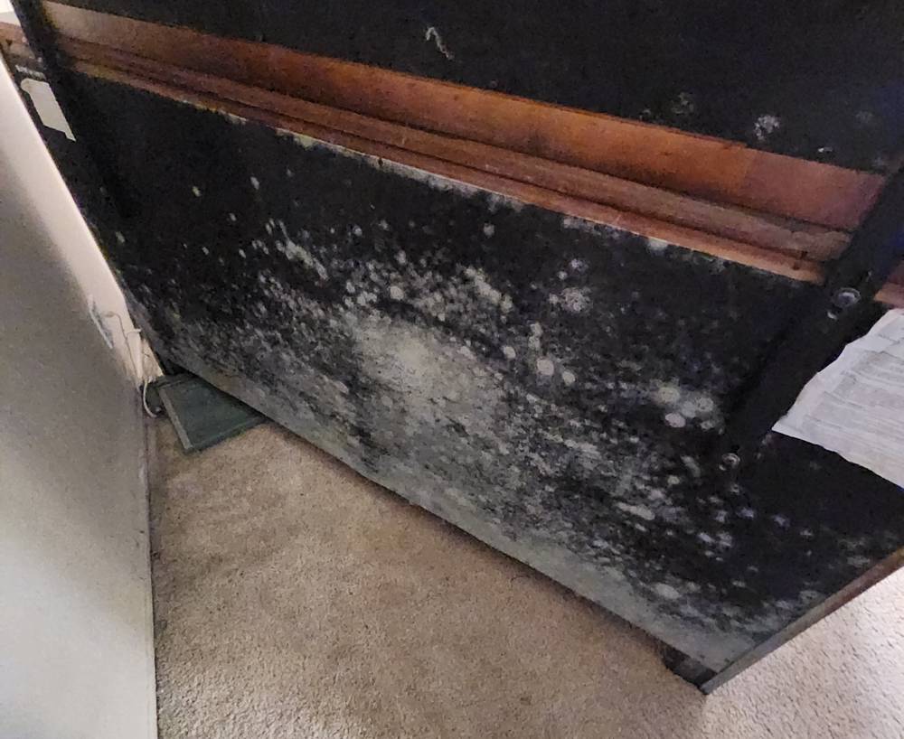 White mold on dresser