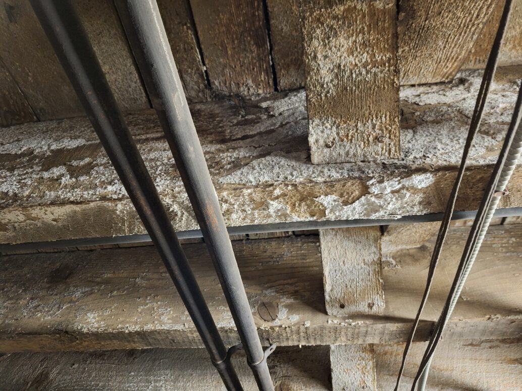 White substance on framing