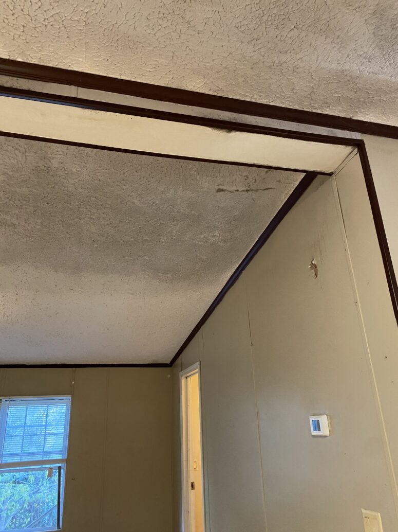 Ghosting rather than mold growth. 