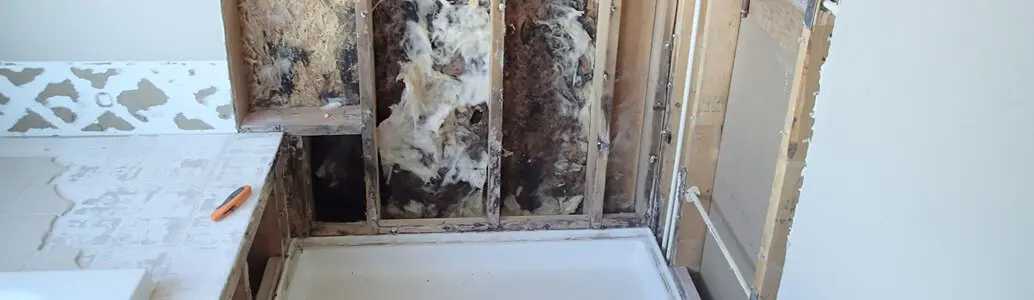 What to know about bathroom mold and when you should worry