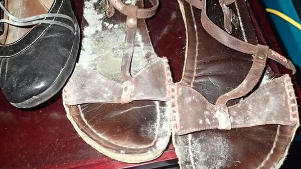 how to clean mold from leather shoes